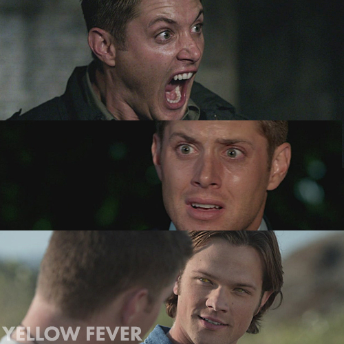 Supernatural 4x06 - Yellow Fever