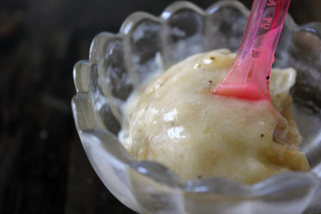 Banana Ice Cream recipe by freshfromthe.com