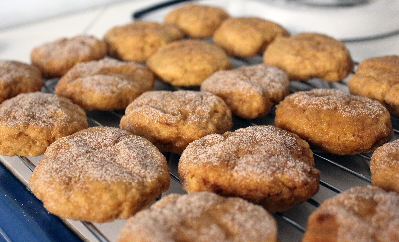 Pumpkin Snickerdoodles by freshfromthe.com