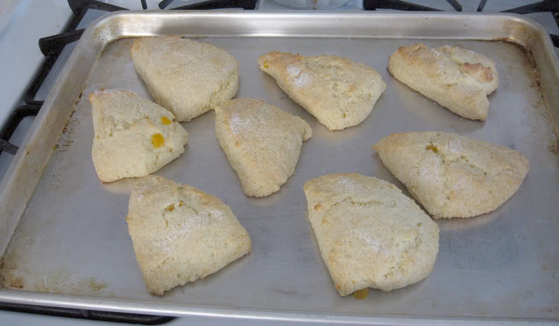 Yogurt Scones by freshfromthe.com