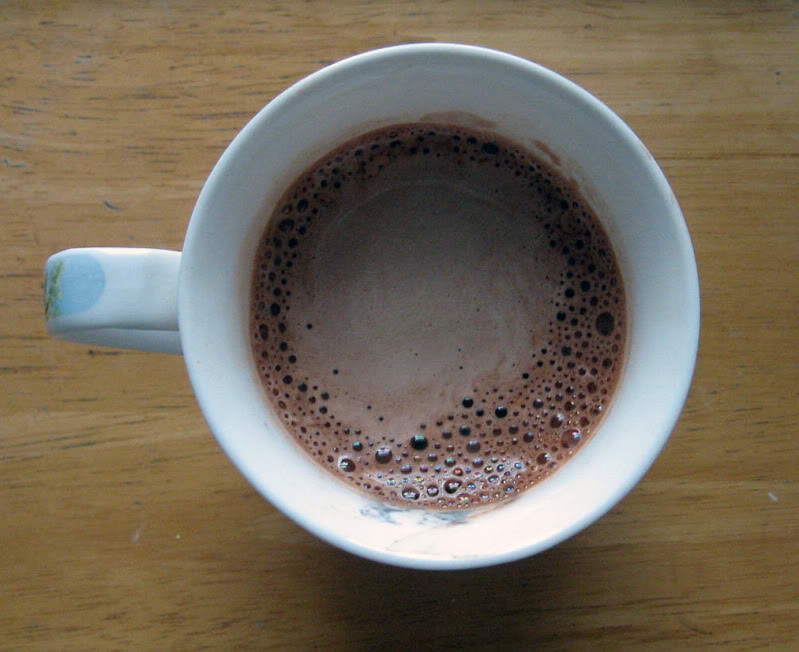 Homemade Hot Cocoa with Homemade Marshmallows by freshfromthe.com