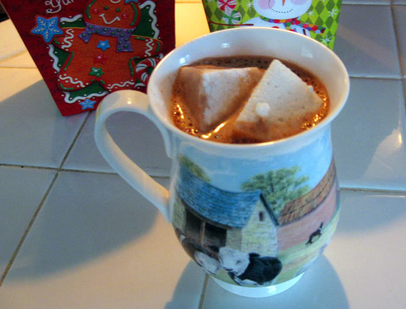 Homemade Hot Cocoa with Homemade Marshmallows by freshfromthe.com