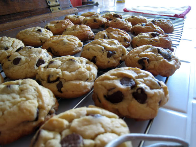Otis Spunkmeyer Homemade Chocolate Chip Cookies by freshfromthe.com