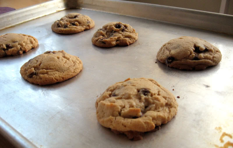 Peanut Butter Chocolate Chip Cookies by freshfromthe.com