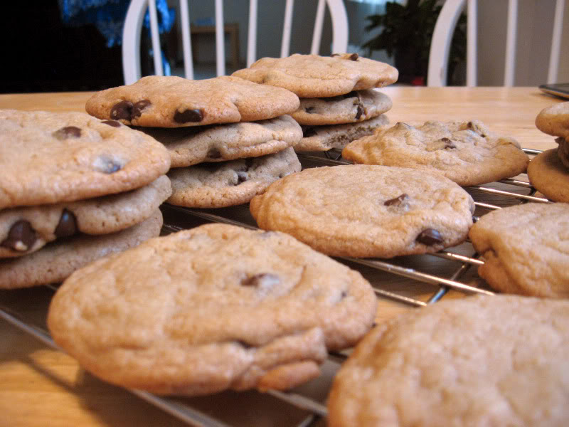 Chewy Chocolate Chip Cookies by freshfromthe.com